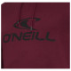 O'neill Ανδρικό φούτερ Hoodie